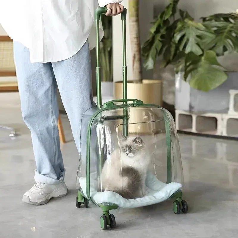 Cat Carrier Portable Bag