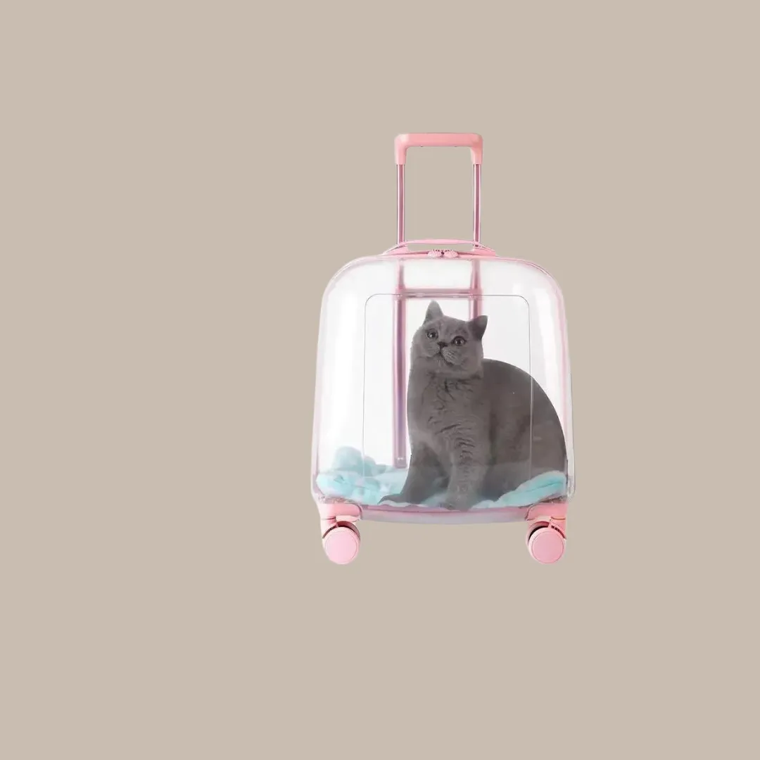 Cat Carrier Portable Bag