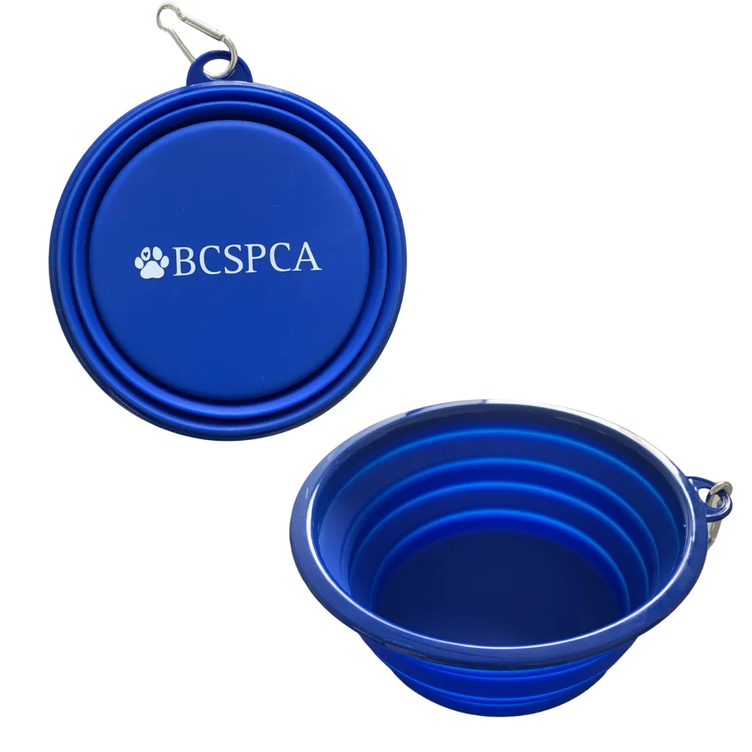 Collapsible Pet Bowl