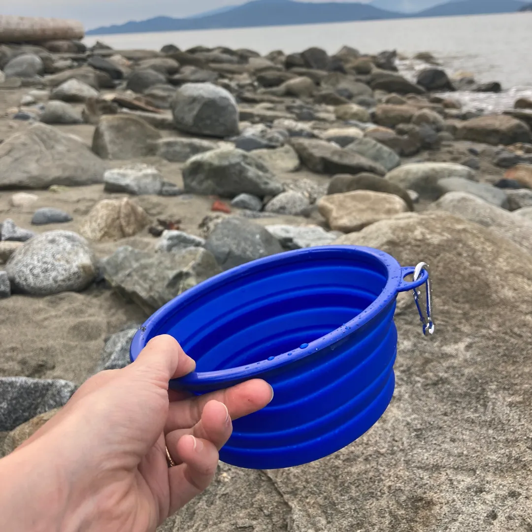 Collapsible Pet Bowl