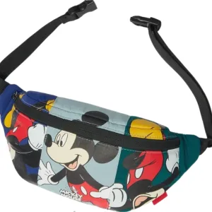 The Zipper Waist Bag